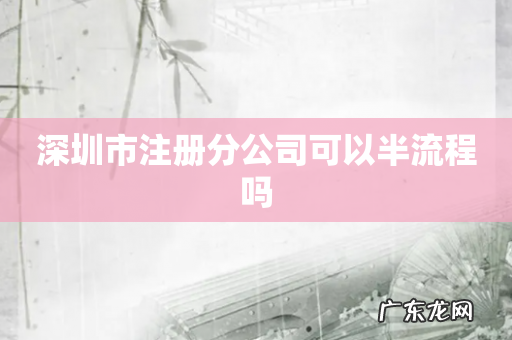 深圳市注册分公司可以半流程吗