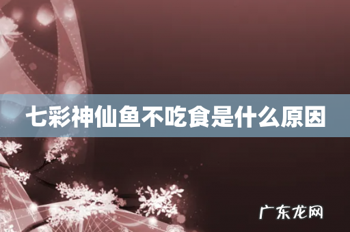 七彩神仙鱼不吃食是什么原因