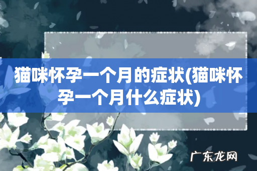 猫咪怀孕一个月什么症状 猫咪怀孕一个月的症状