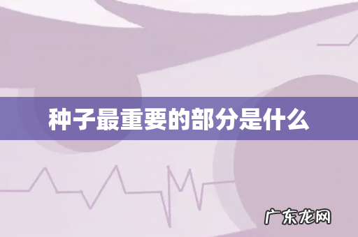 种子最重要的部分是什么
