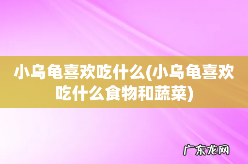小乌龟喜欢吃什么食物和蔬菜 小乌龟喜欢吃什么