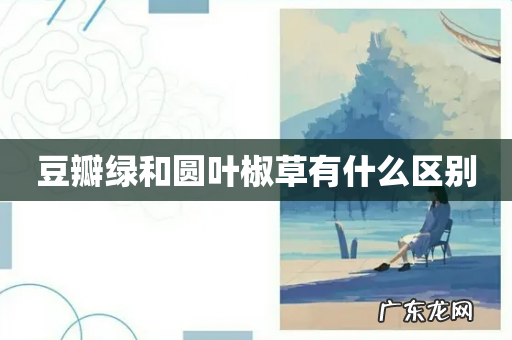 豆瓣绿和圆叶椒草有什么区别