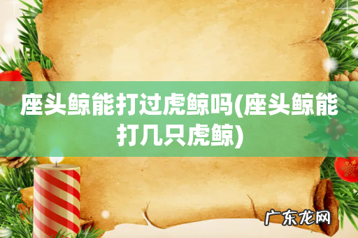 座头鲸能打几只虎鲸 座头鲸能打过虎鲸吗