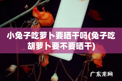 兔子吃胡萝卜要不要晒干 小兔子吃萝卜要晒干吗