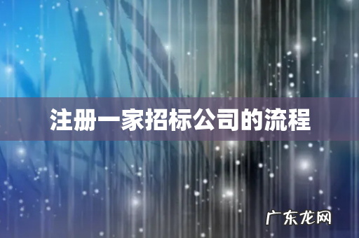 注册一家招标公司的流程