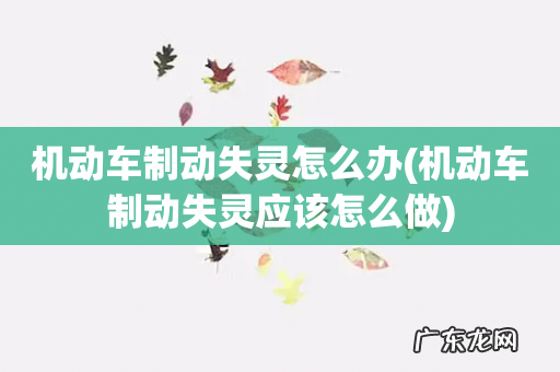 机动车制动失灵应该怎么做 机动车制动失灵怎么办