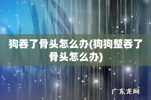 狗狗整吞了骨头怎么办 狗吞了骨头怎么办