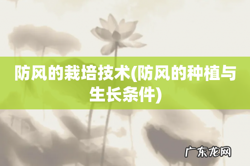 防风的种植与生长条件 防风的栽培技术