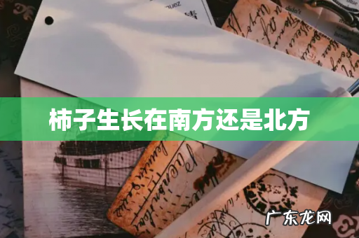 柿子生长在南方还是北方