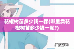 哪里卖花椒树苗多少钱一颗? 花椒树苗多少钱一棵