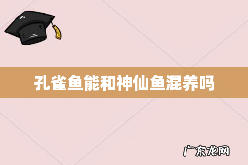 孔雀鱼能和神仙鱼混养吗