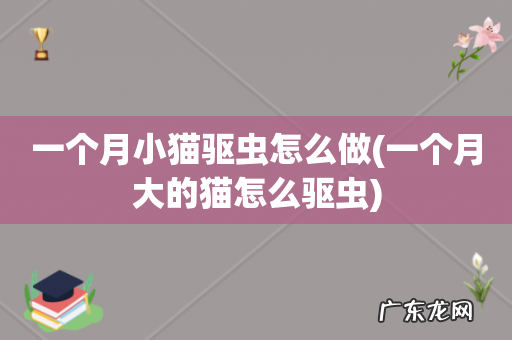 一个月大的猫怎么驱虫 一个月小猫驱虫怎么做