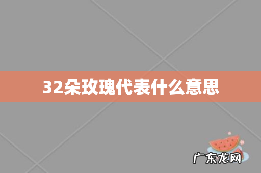 32朵玫瑰代表什么意思
