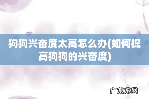 如何提高狗狗的兴奋度 狗狗兴奋度太高怎么办