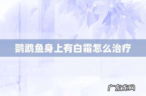 鹦鹉鱼身上有白霜怎么治疗