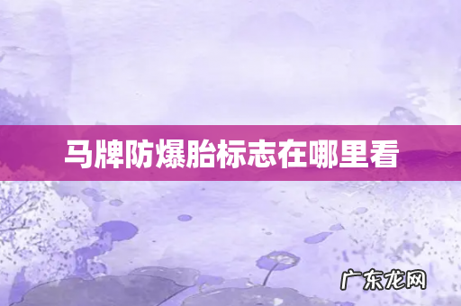 马牌防爆胎标志在哪里看