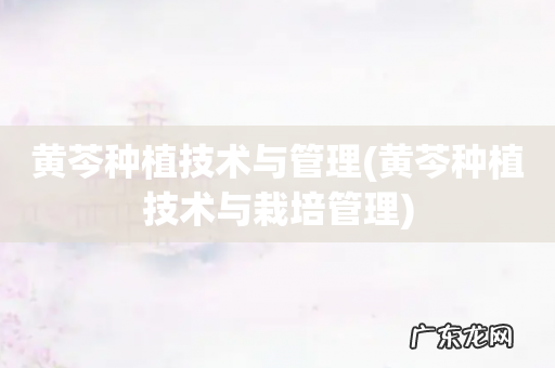 黄芩种植技术与栽培管理 黄芩种植技术与管理