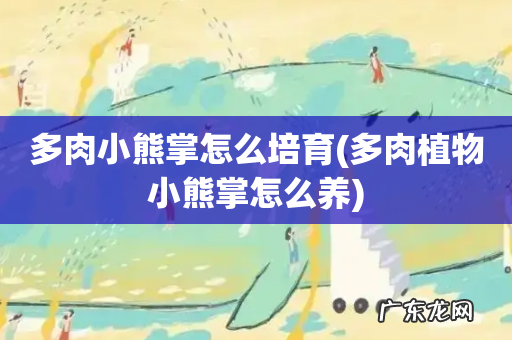 多肉植物小熊掌怎么养 多肉小熊掌怎么培育