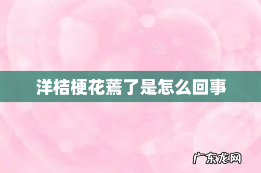 洋桔梗花蔫了是怎么回事