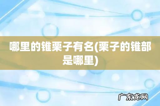 栗子的锥部是哪里 哪里的锥栗子有名