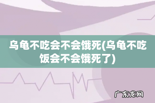乌龟不吃饭会不会饿死了 乌龟不吃会不会饿死