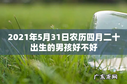 2021年5月31日农历四月二十出生的男孩好不好