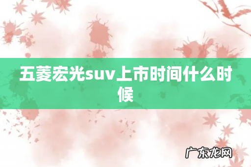 五菱宏光suv上市时间什么时候