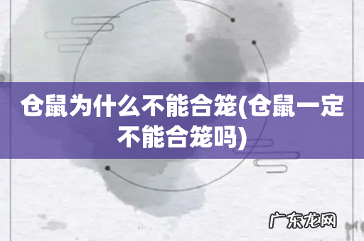 仓鼠一定不能合笼吗 仓鼠为什么不能合笼