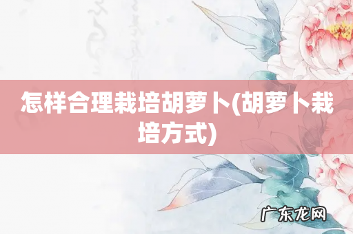 胡萝卜栽培方式 怎样合理栽培胡萝卜