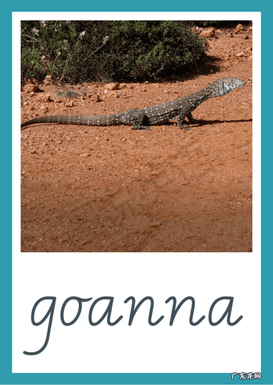 补加翻译 补英语怎么补