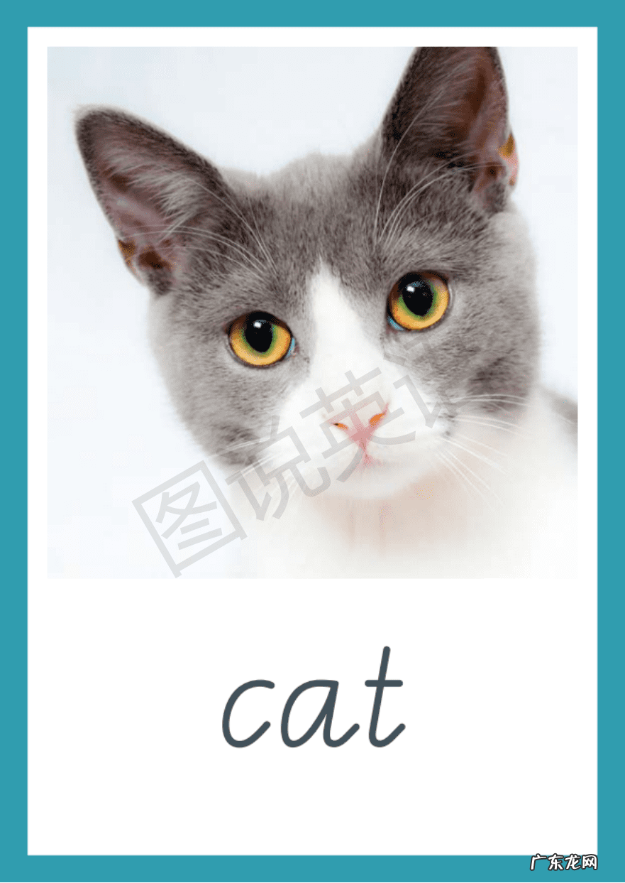 补加翻译 补英语怎么补