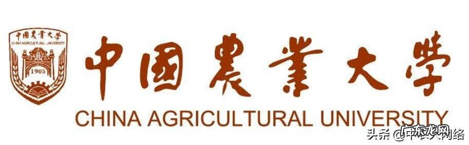 英语学士学位 英语学位考试