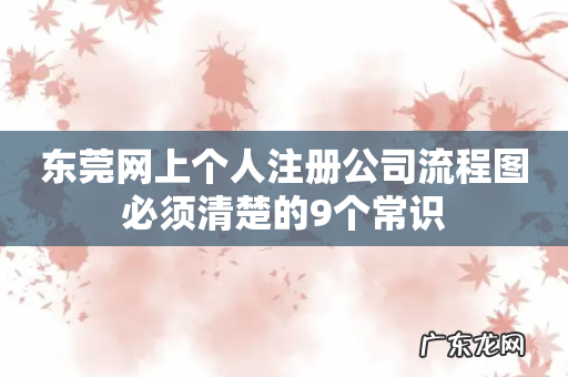东莞网上个人注册公司流程图必须清楚的9个常识