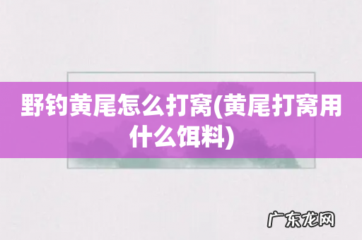 黄尾打窝用什么饵料 野钓黄尾怎么打窝