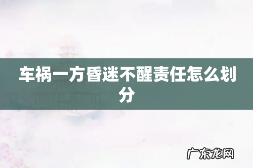 车祸一方昏迷不醒责任怎么划分