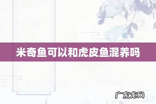 米奇鱼可以和虎皮鱼混养吗
