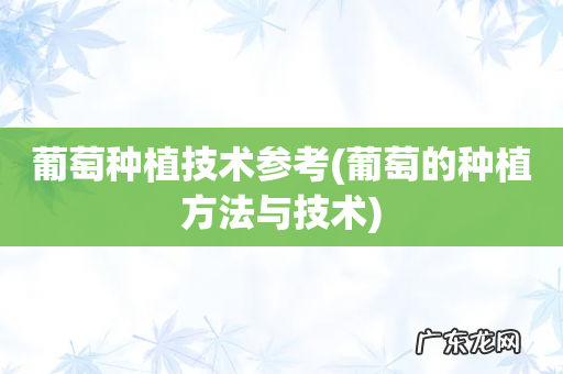 葡萄的种植方法与技术 葡萄种植技术参考