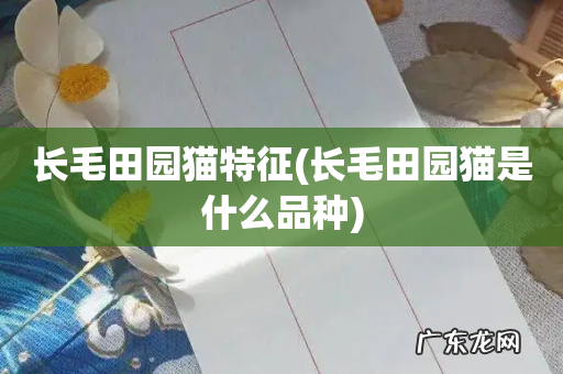 长毛田园猫是什么品种 长毛田园猫特征