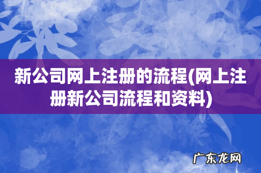 网上注册新公司流程和资料 新公司网上注册的流程