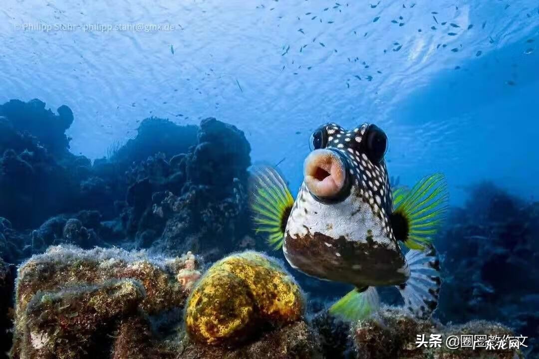 我的家乡四年级满分作文 三年级作文我的家乡怎么写