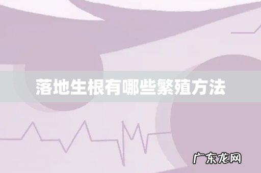 落地生根有哪些繁殖方法