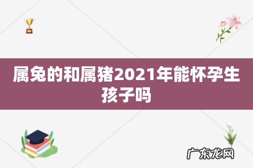 属兔的和属猪2021年能怀孕生孩子吗