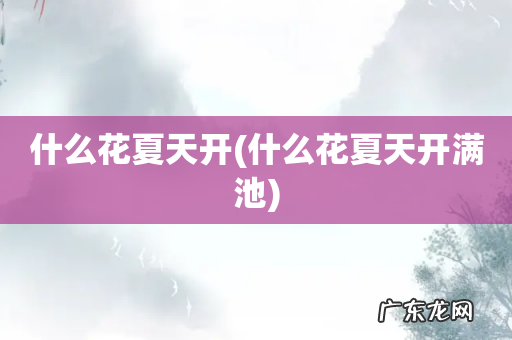 什么花夏天开满池 什么花夏天开