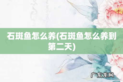 石斑鱼怎么养到第二天 石斑鱼怎么养