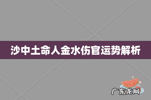 沙中土命人金水伤官运势解析