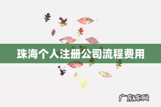 珠海个人注册公司流程费用