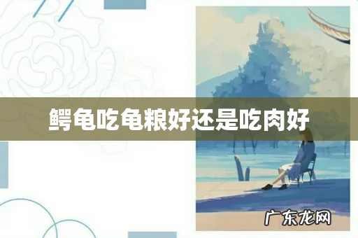 鳄龟吃龟粮好还是吃肉好