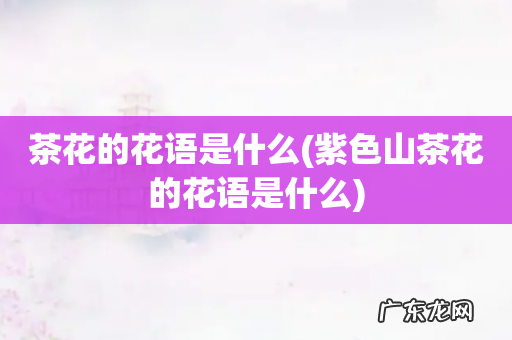 紫色山茶花的花语是什么 茶花的花语是什么