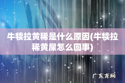 牛犊拉稀黄屎怎么回事 牛犊拉黄稀是什么原因