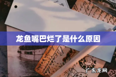 龙鱼嘴巴烂了是什么原因